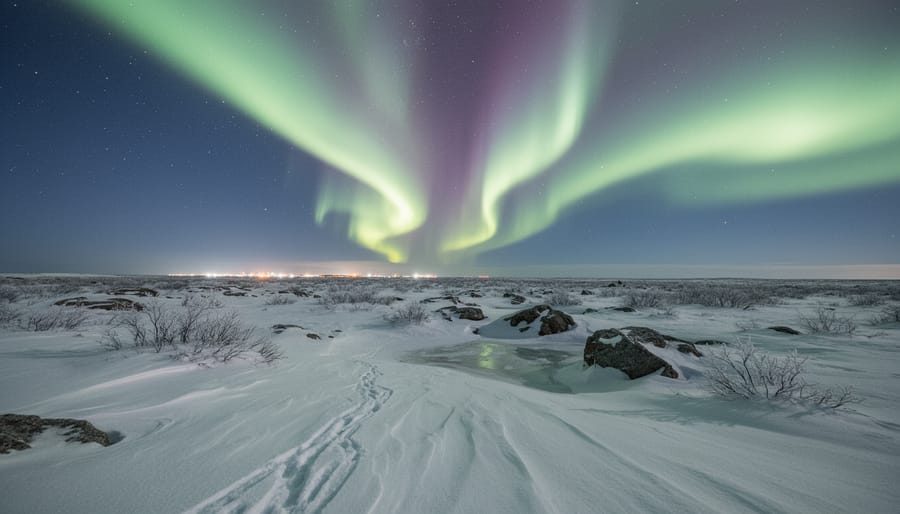 Aurora borealis over a snowy tundra landscape with polar bear silhouettes near the horizon